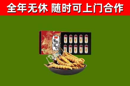 江西省烟酒回收冬虫夏草礼盒.jpg